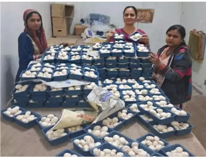 Success story article