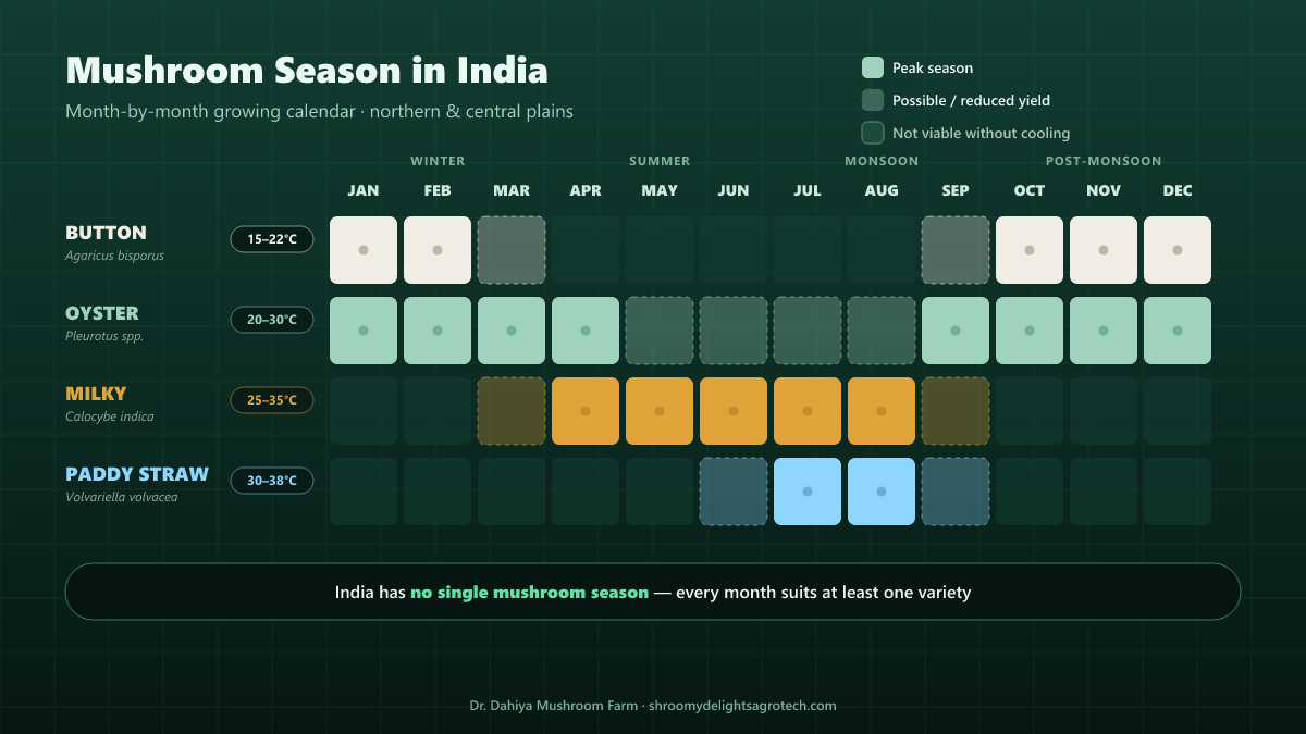 Mushroom season calendar for India showing month-by-month growing windows for Button (October to March), Oyster (year-round), Milky (March to September) and Paddy Straw (monsoon) mushrooms with their ideal temperature ranges