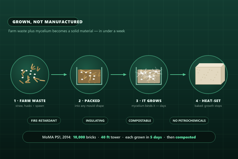 Four-stage diagram of growing a mycelium material: farm waste and spawn, packed into a mould, mycelium colonising and binding the substrate, and the finished heat-set block