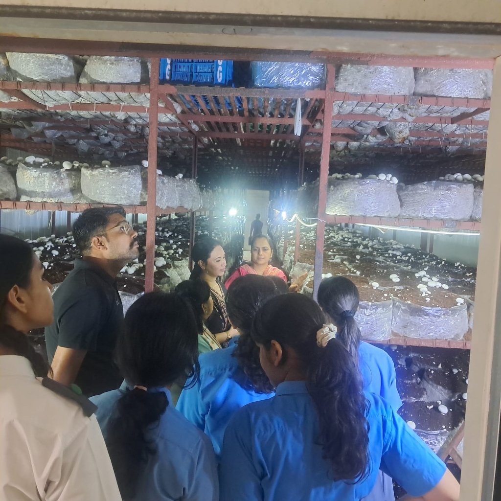 Students exploring mushroom growing rooms